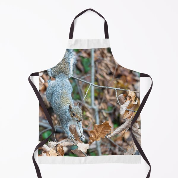 Item preview, Eastern grey squirrel (Sciurus carolinensis) designed and sold by Stephen Jarman.
