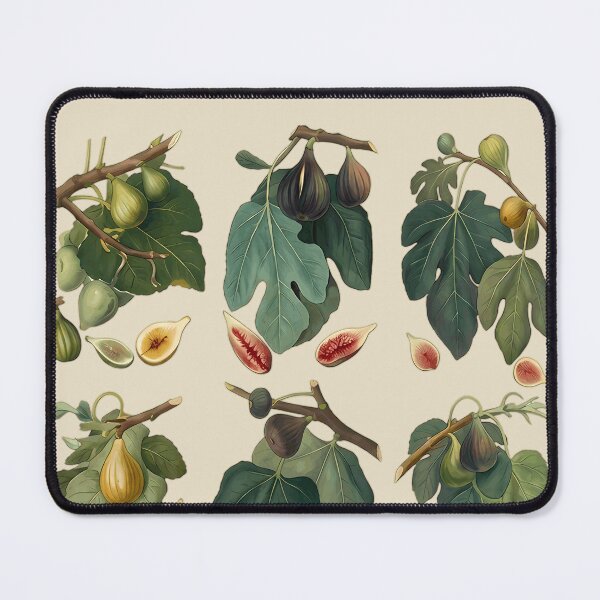Item preview, Figology Vintage Fig Botanical Illustration Print designed and sold by Velustro Shop.