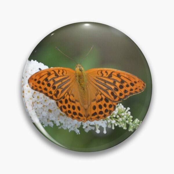 Item preview, Orange Fritillary Butterfly on Butterfly Bush 2 designed and sold by MiraNadaPrints.
