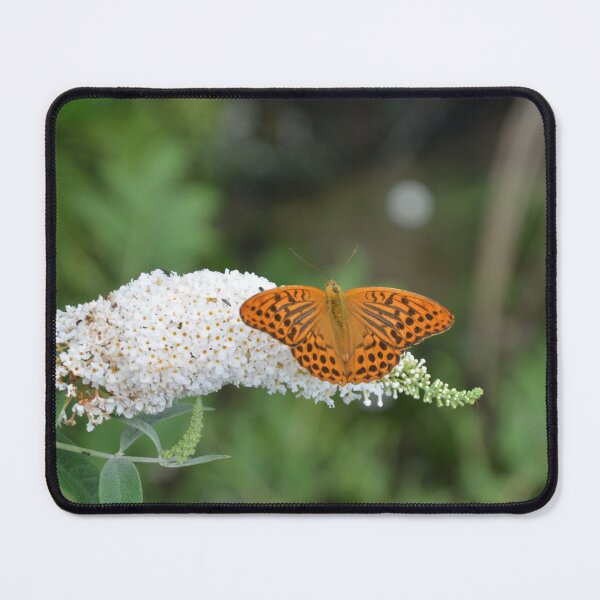 Item preview, Orange Fritillary Butterfly on Butterfly Bush 2 designed and sold by MiraNadaPrints.