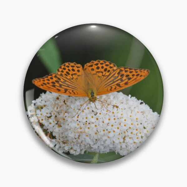Item preview, Orange Fritillary Butterfly on Butterfly Bush 3 designed and sold by MiraNadaPrints.