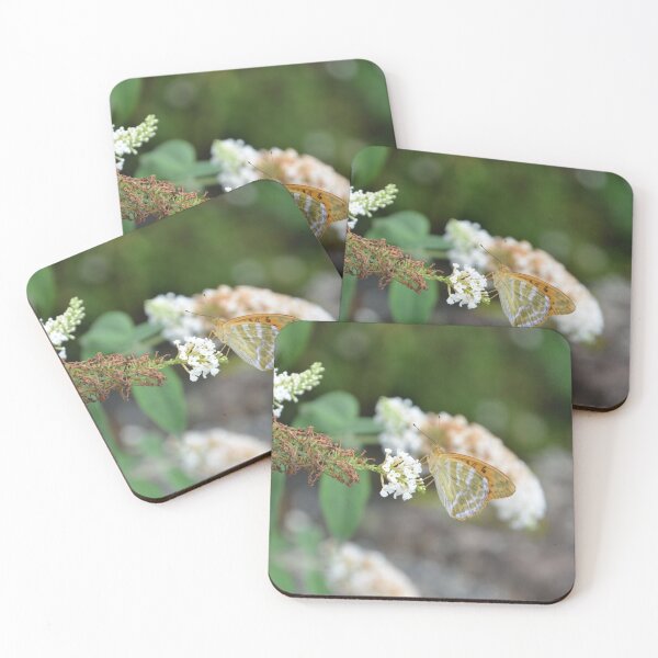 Item preview, Fritillary Butterfly Feeding on White Buddleja designed and sold by MiraNadaPrints.