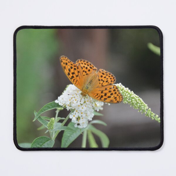 Item preview, Orange Fritillary Butterfly on Butterfly Bush 5 designed and sold by MiraNadaPrints.
