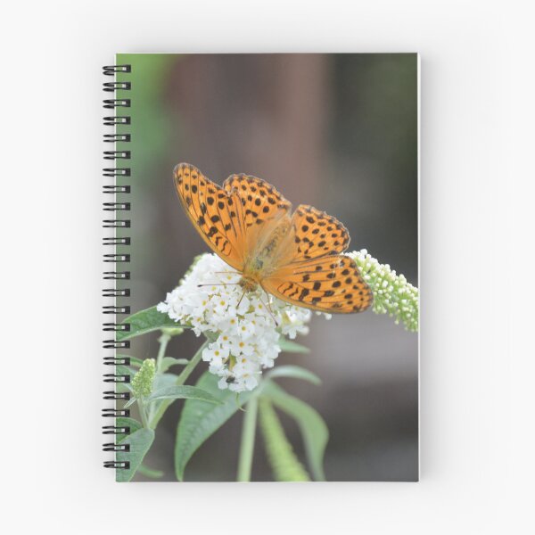 Item preview, Orange Fritillary Butterfly on Butterfly Bush 5 designed and sold by MiraNadaPrints.