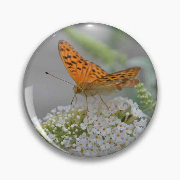 Item preview, Orange Fritillary Butterfly on Butterfly Bush 6 designed and sold by MiraNadaPrints.