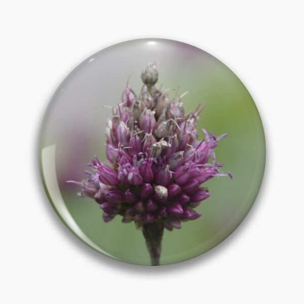 Item preview, Purple Allium Flower Bud in Soft Focus designed and sold by MiraNadaPrints.