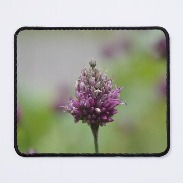 Item preview, Purple Allium Flower Bud in Soft Focus designed and sold by MiraNadaPrints.