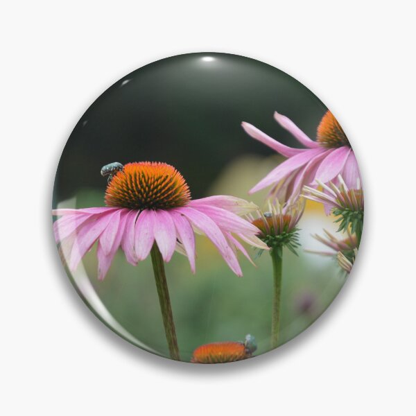 Item preview, Pink Coneflower Echinacea Blooms in Garden designed and sold by MiraNadaPrints.