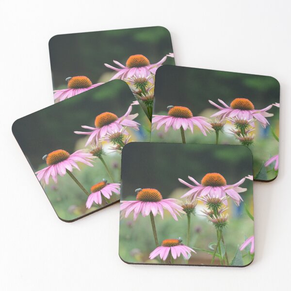 Item preview, Pink Coneflower Echinacea Blooms in Garden designed and sold by MiraNadaPrints.