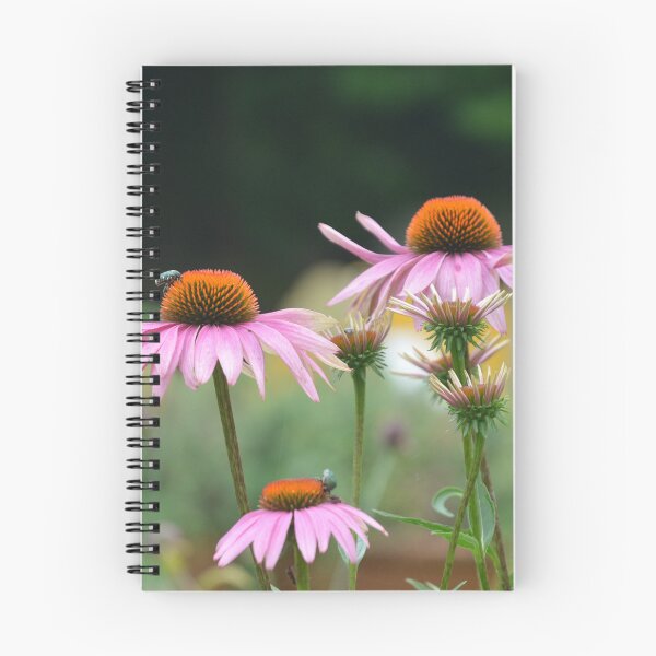 Item preview, Pink Coneflower Echinacea Blooms in Garden designed and sold by MiraNadaPrints.