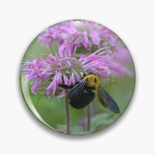 Item preview, Bumblebee Gathering Nectar on Bergamot Flower designed and sold by MiraNadaPrints.
