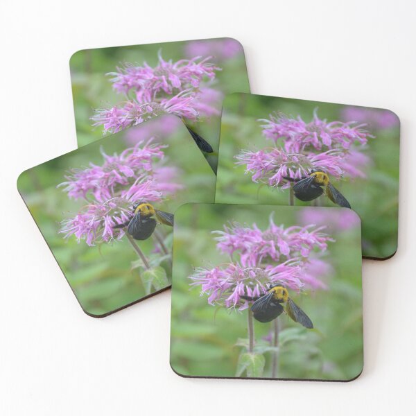 Item preview, Bumblebee Gathering Nectar on Bergamot Flower designed and sold by MiraNadaPrints.
