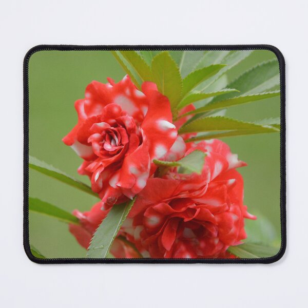 Item preview, Red and White Balsam Garden Flowers designed and sold by MiraNadaPrints.