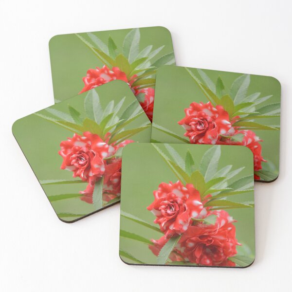 Item preview, Red and White Balsam Garden Flowers designed and sold by MiraNadaPrints.