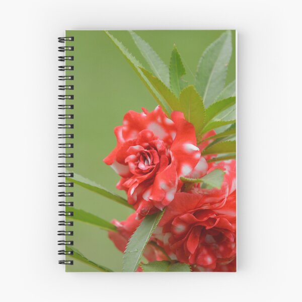 Item preview, Red and White Balsam Garden Flowers designed and sold by MiraNadaPrints.