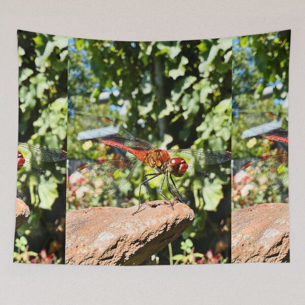 Item preview, Dragon-fly photography  designed and sold by DiaSinama.