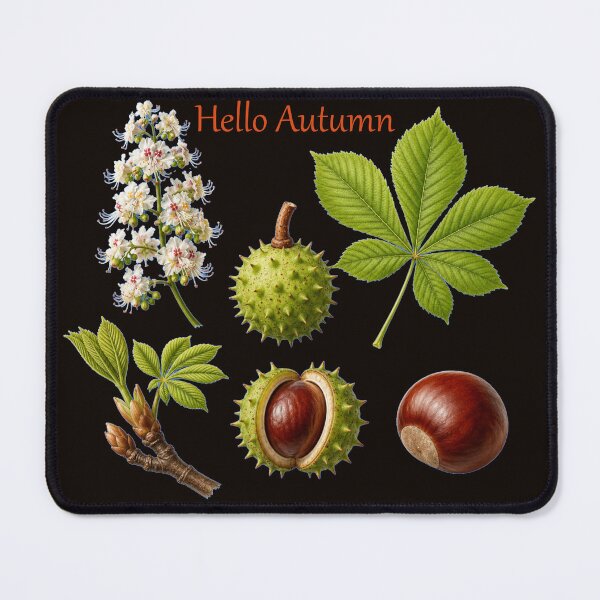 Item preview, Hello Autumn Chestnut Tree Botanical Illustration Fall Season Art designed and sold by Evelashop.
