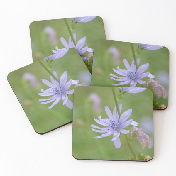 Item preview, Delicate Purple Chicory Wildflower in Meadow designed and sold by MiraNadaPrints.