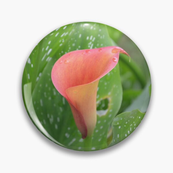 Item preview, Pink Calla Lily with Spotted Green Leaves designed and sold by MiraNadaPrints.