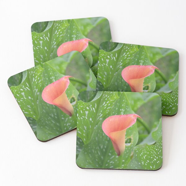 Item preview, Pink Calla Lily with Spotted Green Leaves designed and sold by MiraNadaPrints.
