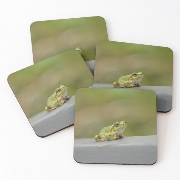 Item preview, Small Green Tree Frog Resting on Ledge designed and sold by MiraNadaPrints.