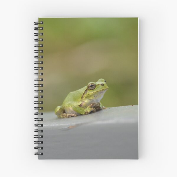 Item preview, Small Green Tree Frog Resting on Ledge designed and sold by MiraNadaPrints.