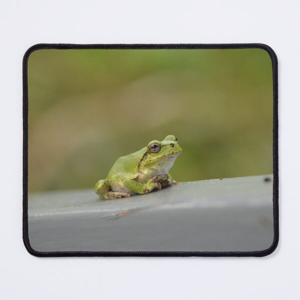Item preview, Small Green Tree Frog Resting on Ledge designed and sold by MiraNadaPrints.