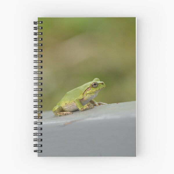 Item preview, Two Green Tree Frogs Resting on Ledge designed and sold by MiraNadaPrints.