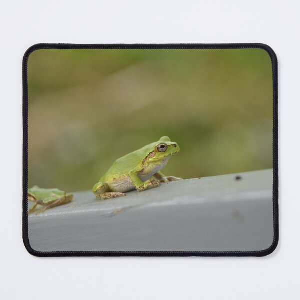 Item preview, Two Green Tree Frogs Resting on Ledge designed and sold by MiraNadaPrints.