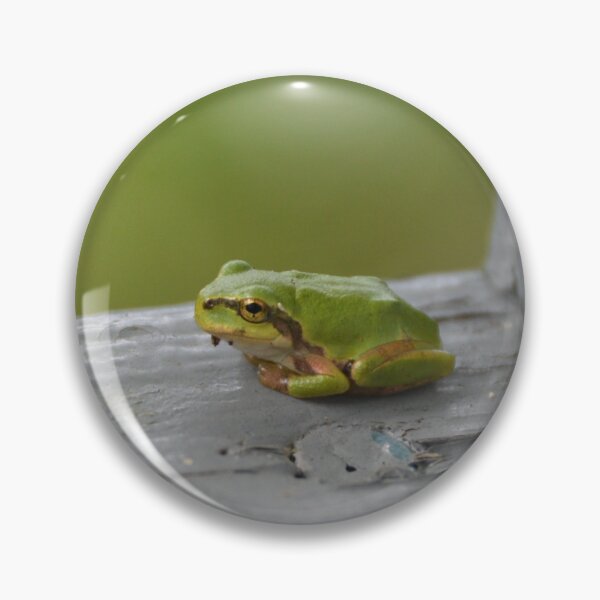Item preview, Little Green Tree Frog on Wooden Sill designed and sold by MiraNadaPrints.