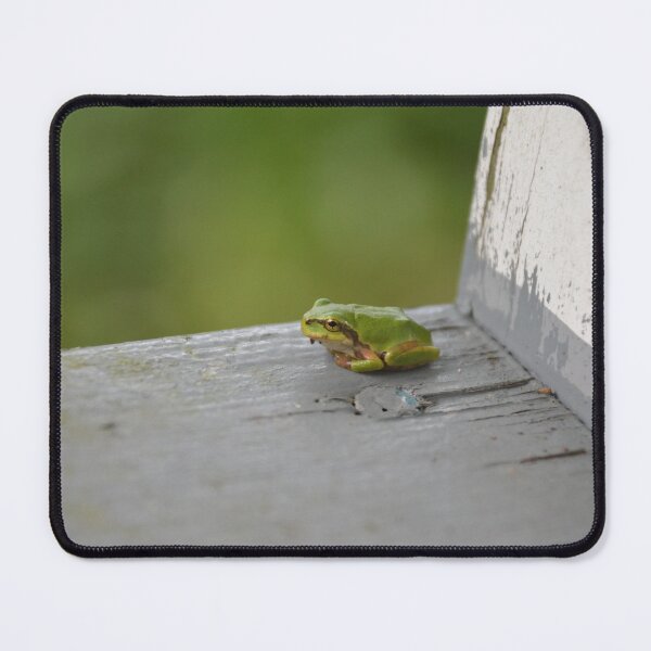 Item preview, Little Green Tree Frog on Wooden Sill designed and sold by MiraNadaPrints.