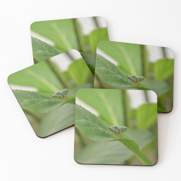 Item preview, Tiny Green Tree Frog on Vibrant Leaf designed and sold by MiraNadaPrints.