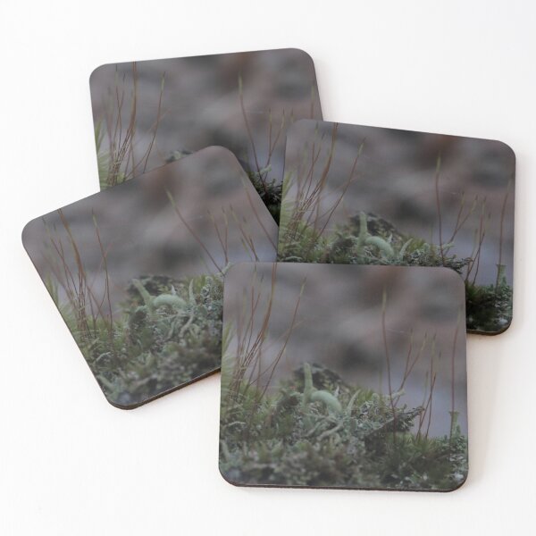 Item preview, Moody Macro Forest Moss and Lichen Close Up designed and sold by vikko-art.