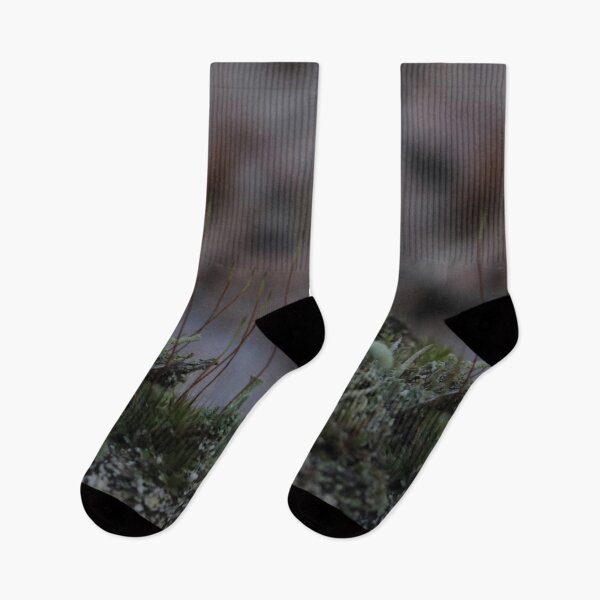Item preview, Moody Macro Forest Moss and Lichen Close Up designed and sold by vikko-art.