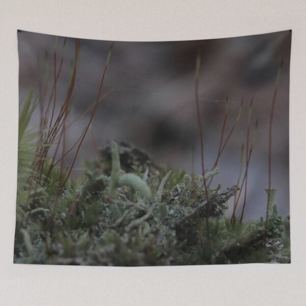 Item preview, Moody Macro Forest Moss and Lichen Close Up designed and sold by vikko-art.