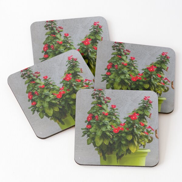 Item preview, Potted Red Flowering Plant In Bright Green Pot Against Textured Gray Wall designed and sold by Nmallia.