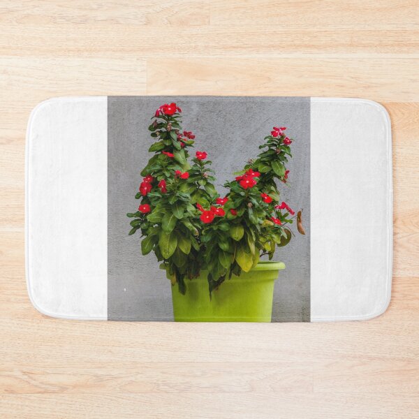 Item preview, Potted Red Flowering Plant In Bright Green Pot Against Textured Gray Wall designed and sold by Nmallia.