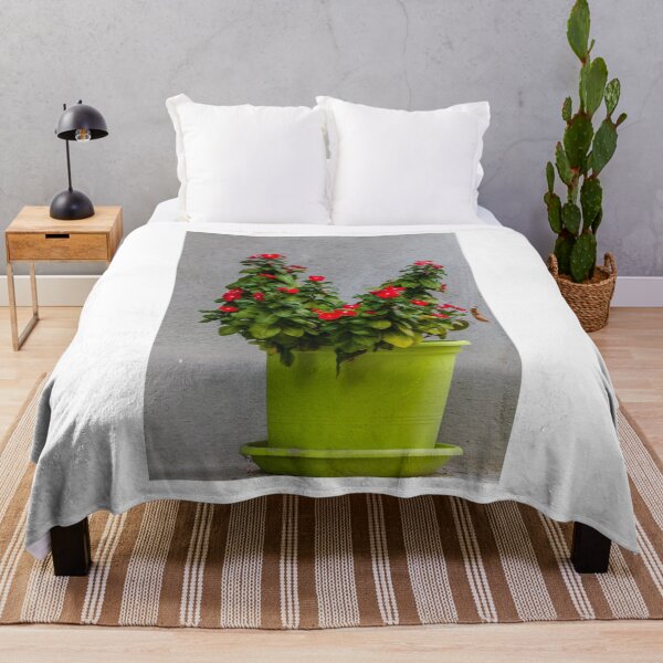 Item preview, Potted Red Flowering Plant In Bright Green Pot Against Textured Gray Wall designed and sold by Nmallia.