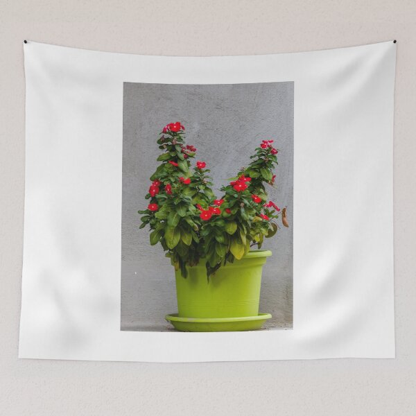 Item preview, Potted Red Flowering Plant In Bright Green Pot Against Textured Gray Wall designed and sold by Nmallia.