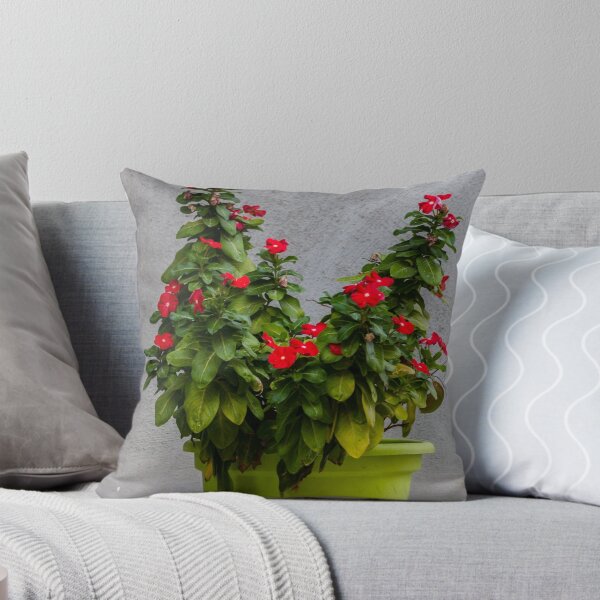 Item preview, Potted Red Flowering Plant In Bright Green Pot Against Textured Gray Wall designed and sold by Nmallia.