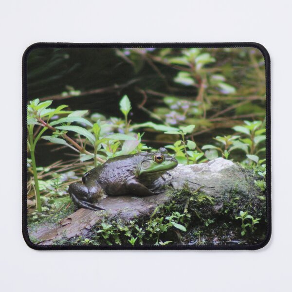 Item preview, Bump on a Rock designed and sold by Birdgirlcreates.