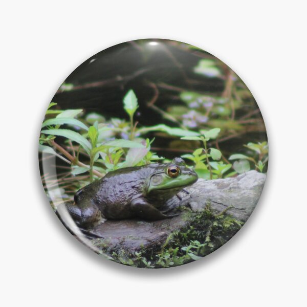 Item preview, Bump on a Rock designed and sold by Birdgirlcreates.