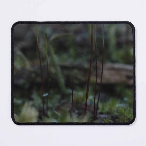 Item preview, Moody Forest Moss Stalks Macro Photography designed and sold by vikko-art.