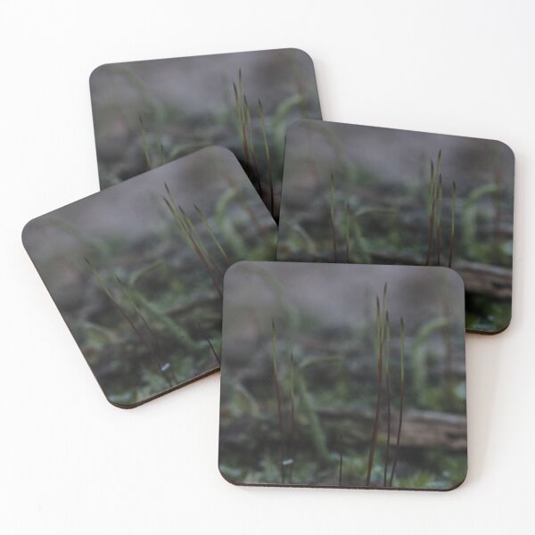 Item preview, Moody Forest Moss Stalks Macro Photography designed and sold by vikko-art.