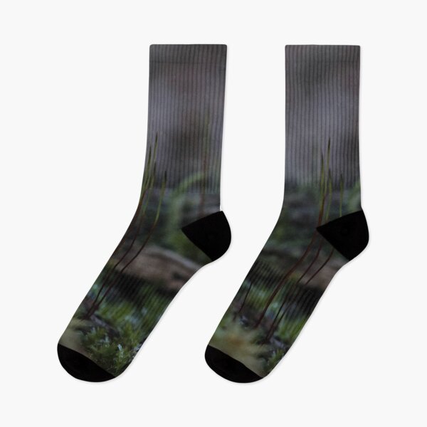 Item preview, Moody Forest Moss Stalks Macro Photography designed and sold by vikko-art.