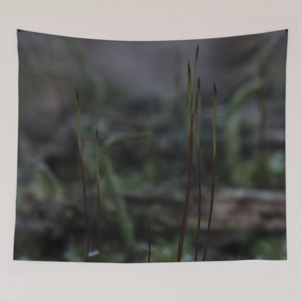 Item preview, Moody Forest Moss Stalks Macro Photography designed and sold by vikko-art.