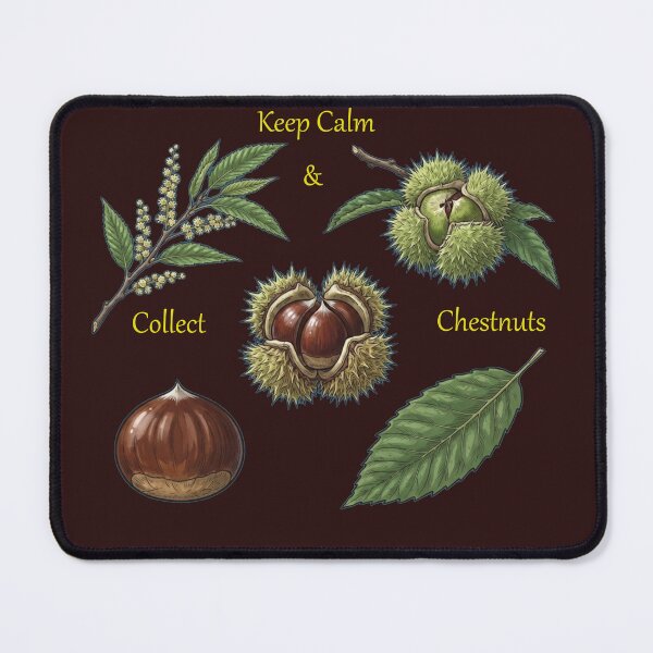 Item preview, Keep Calm and Collect Chestnuts Botanical Autumn Nature Slogan designed and sold by Evelashop.