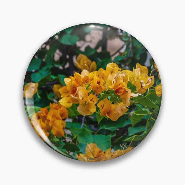 Item preview, Yellow Bougainvillea Vine With Vibrant Flowers and Lush Green Foliage Climbing Wall designed and sold by Nmallia.
