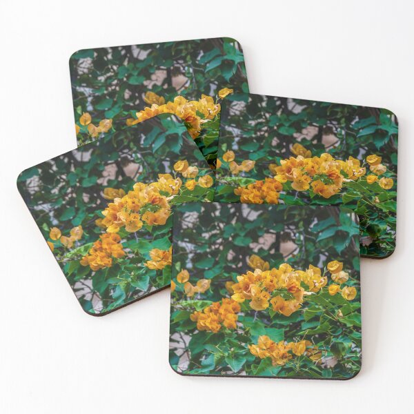 Item preview, Yellow Bougainvillea Vine With Vibrant Flowers and Lush Green Foliage Climbing Wall designed and sold by Nmallia.