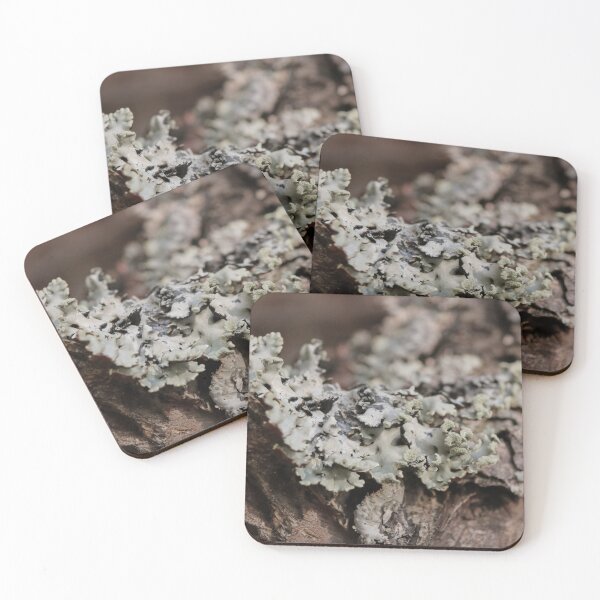 Item preview, Rustic Forest Lichen on Tree Bark Macro Photography designed and sold by vikko-art.